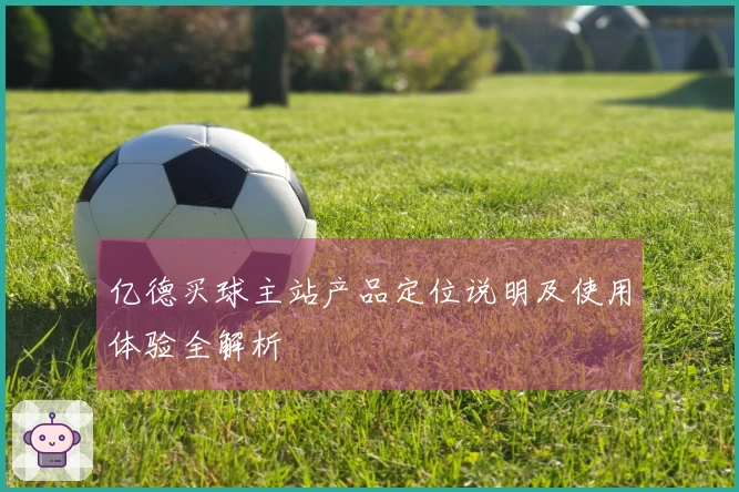 亿德买球主站产品定位说明及使用体验全解析