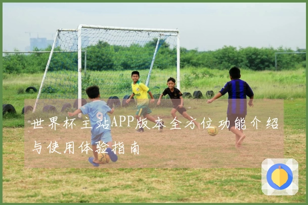 世界杯主站APP版本全方位功能介绍与使用体验指南